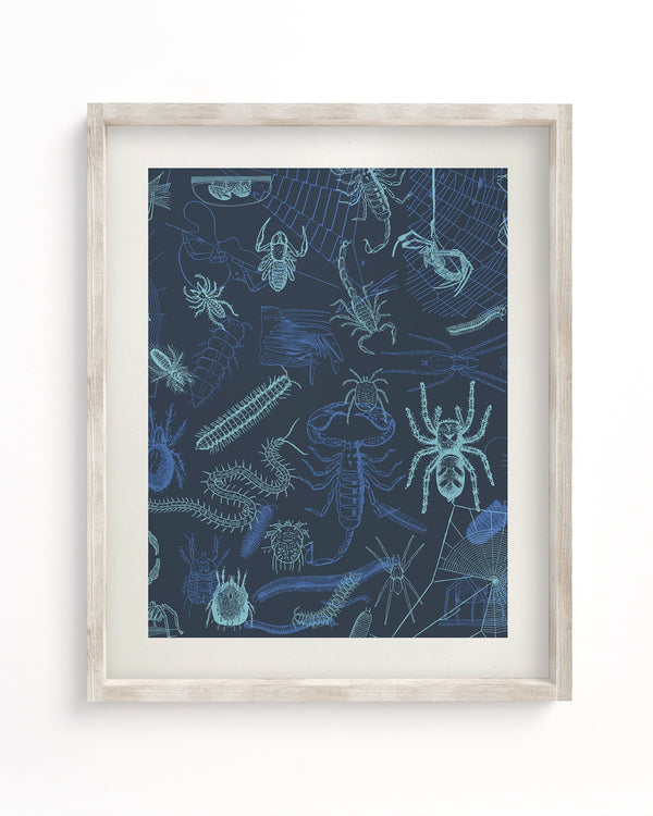 Spiders Museum Print