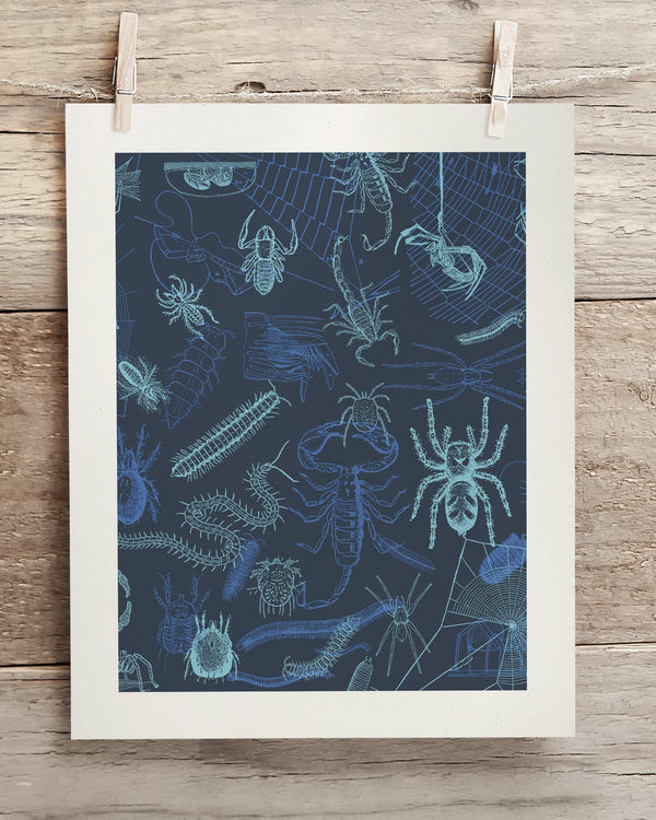 Spiders Museum Print