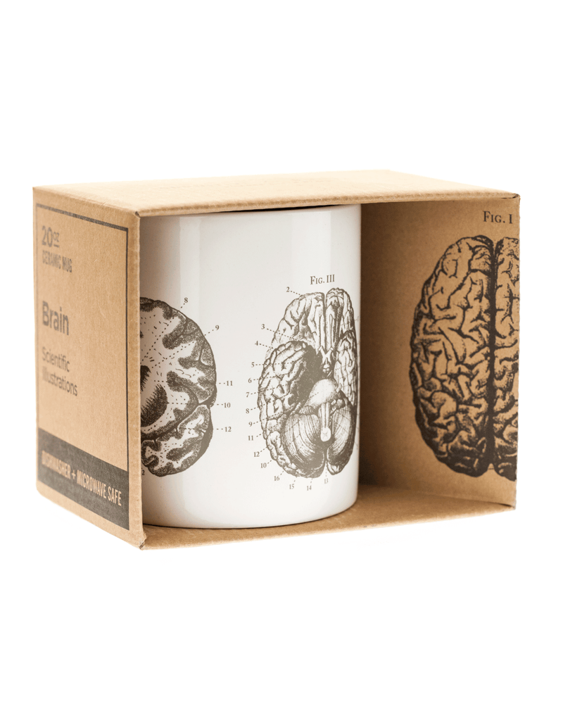 Anatomical Brain Mega Mug