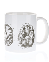 Anatomical Brain Mega Mug