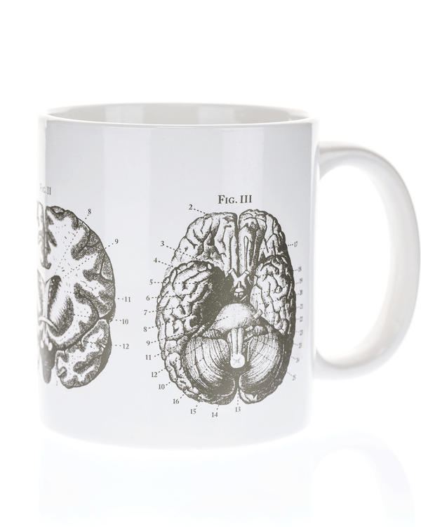 Anatomical Brain Mega Mug