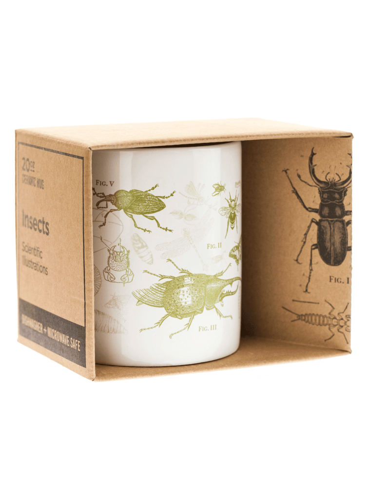 Entomology: Butterflies & Insects Mega Mug