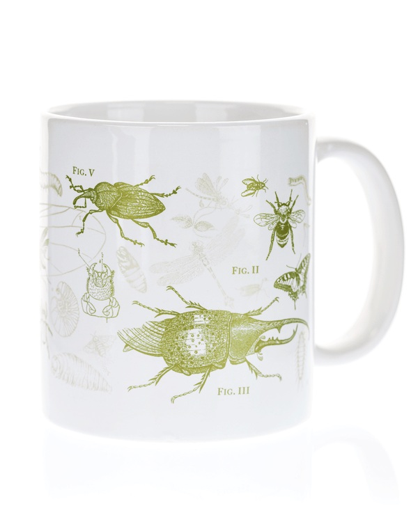 Entomology: Butterflies & Insects Mega Mug