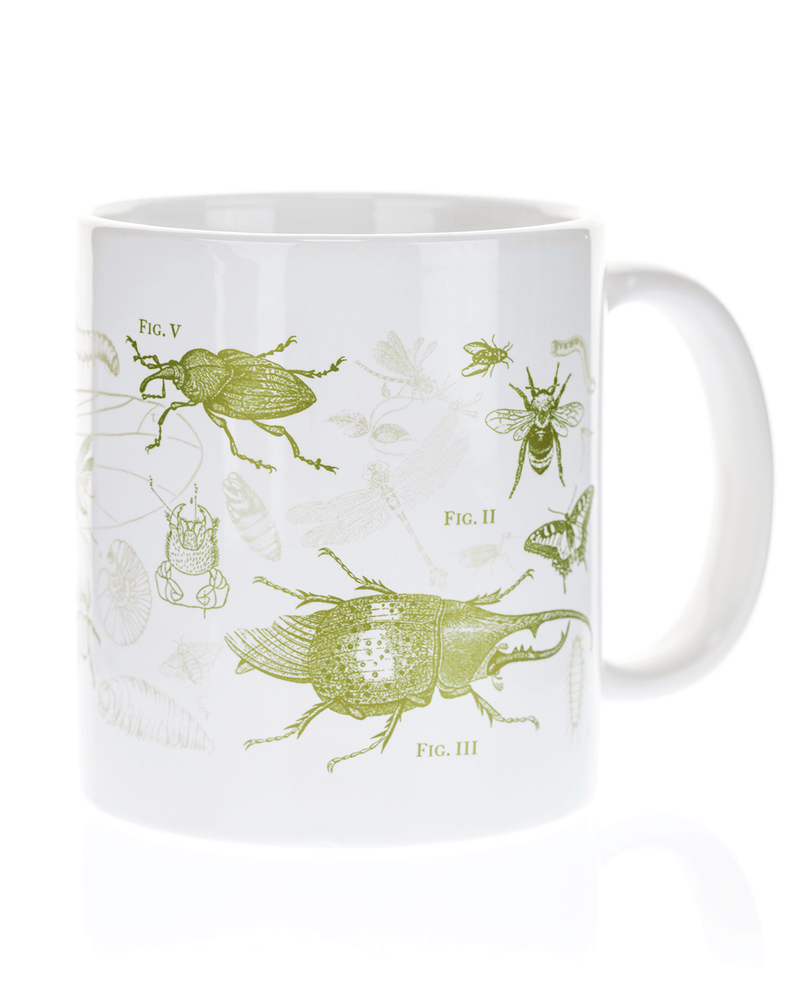 Entomology: Butterflies & Insects Mega Mug