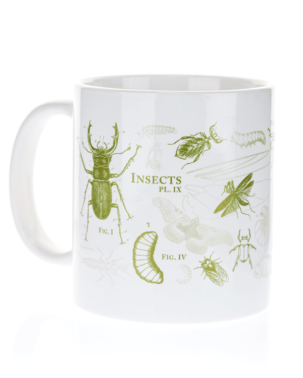 Entomology: Butterflies & Insects Mega Mug