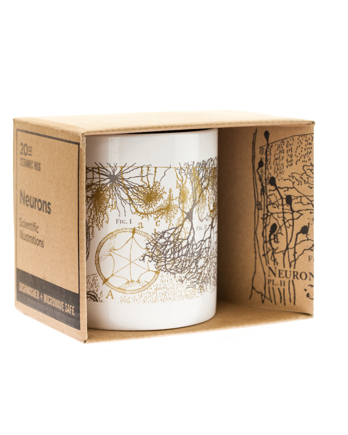 Mug_Neurons_Box_White.jpg