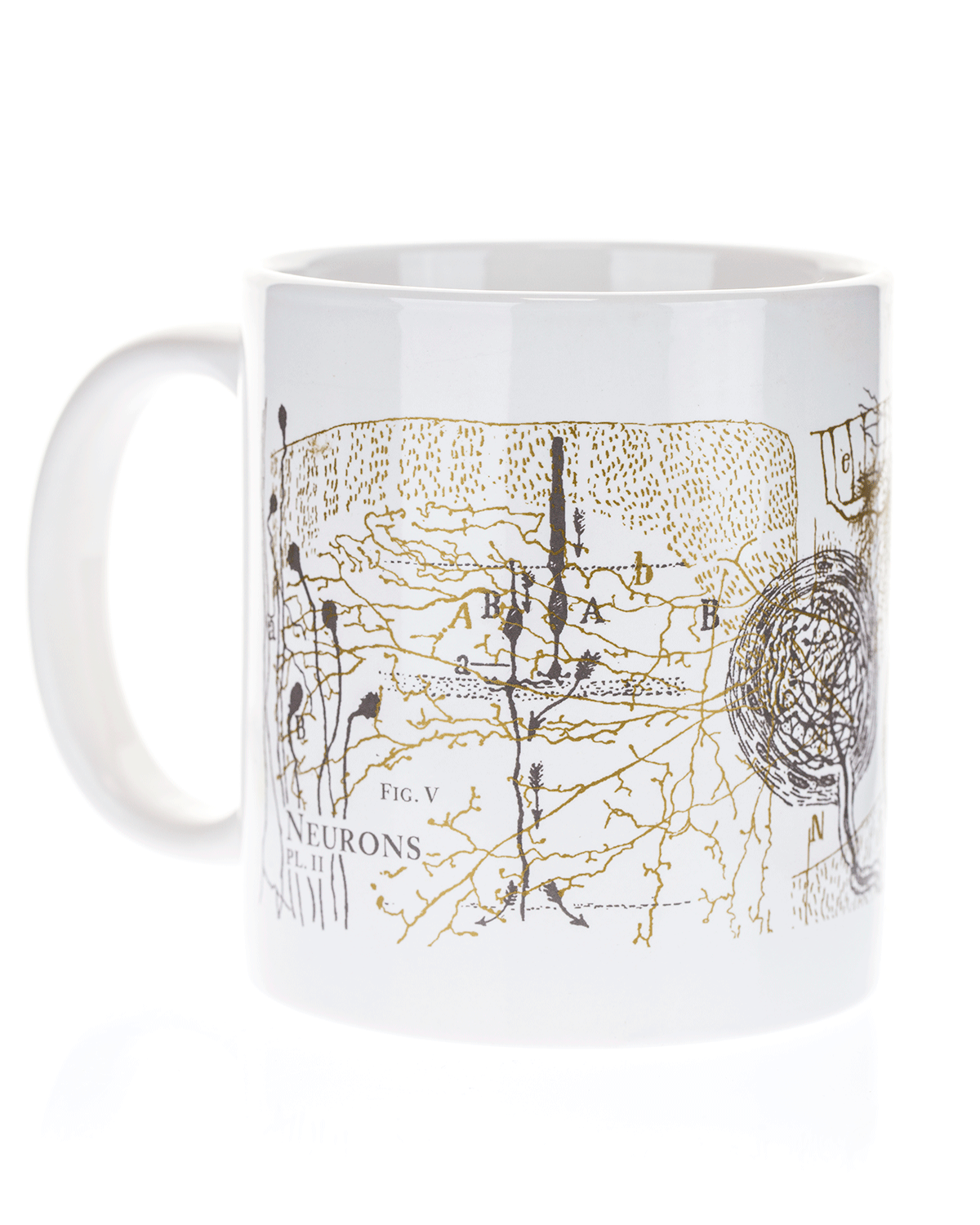 Mug_Neurons_White_2.png