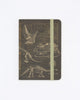 Dinosaur Bones Observation Softcover