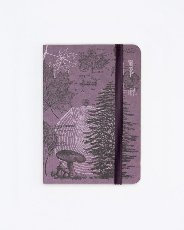 Forest at Dusk Observation Softcover