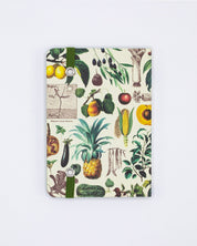 Edible Flora Observation Softcover