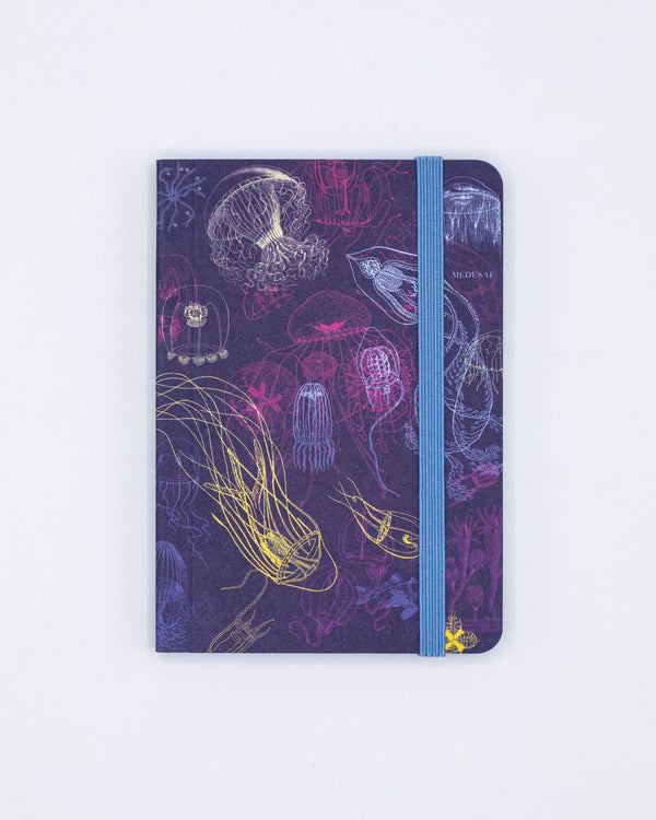 Go With the Flow Jellyfish Observation Softcover
