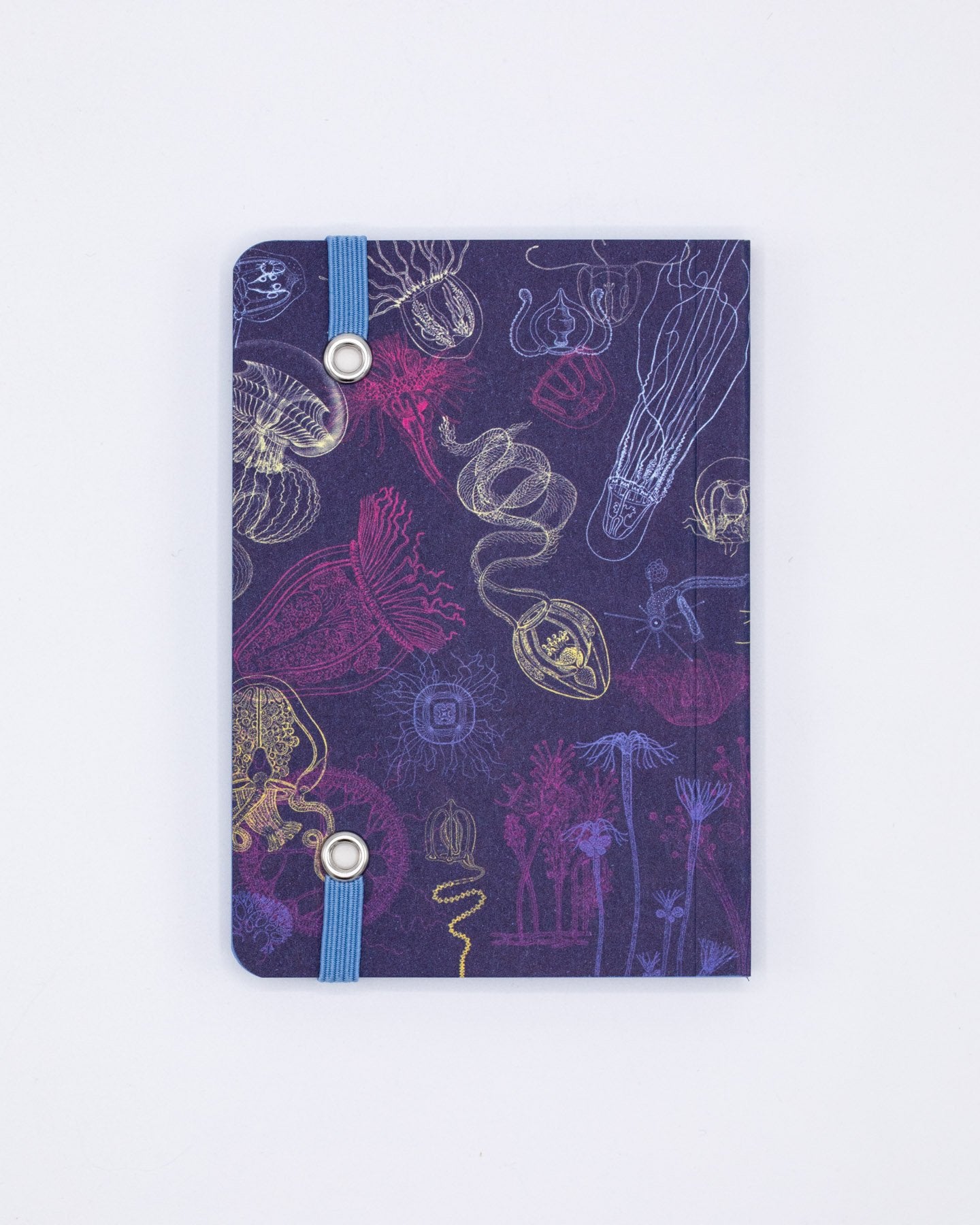 Go With the Flow Jellyfish Observation Softcover