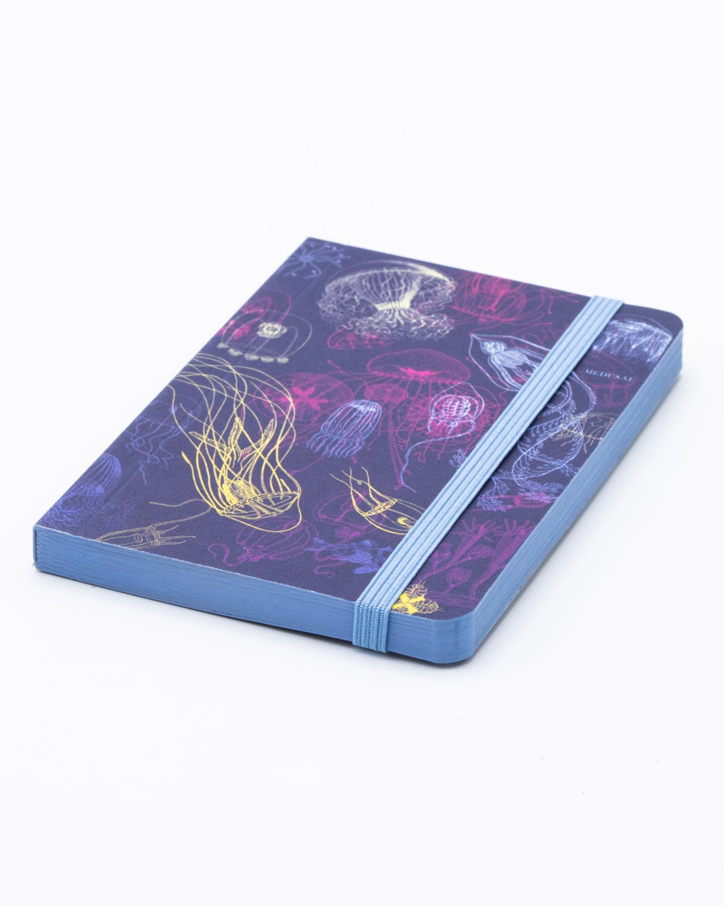 Go With the Flow Jellyfish Observation Softcover