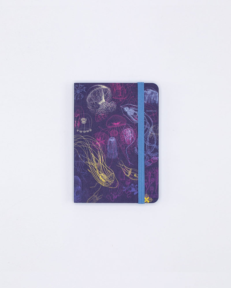 Go With the Flow Jellyfish Observation Softcover