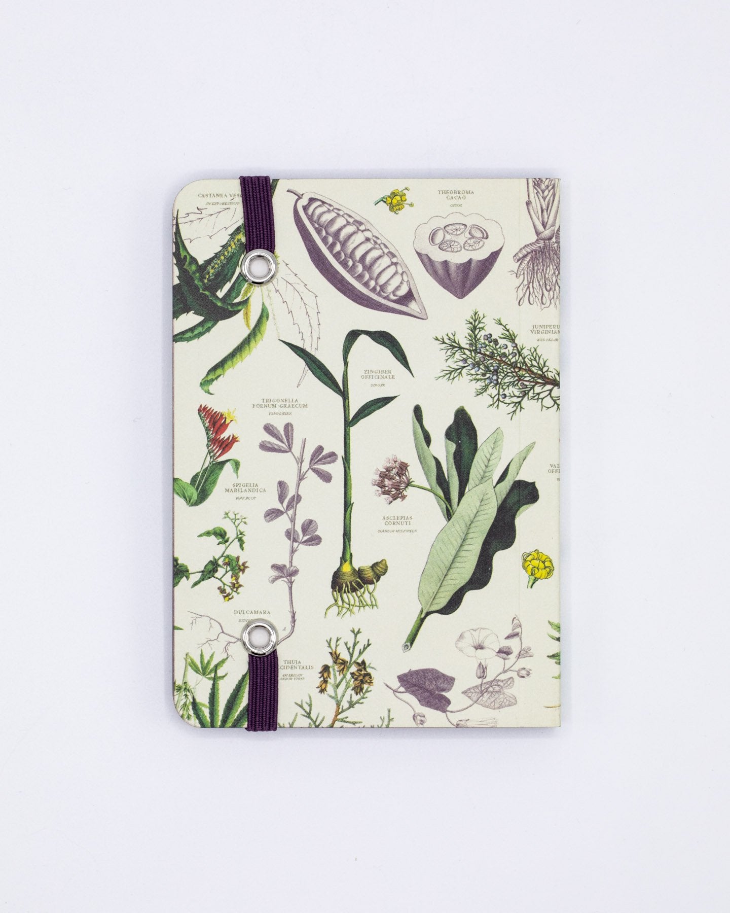 Medicinal Botany Observation Softcover