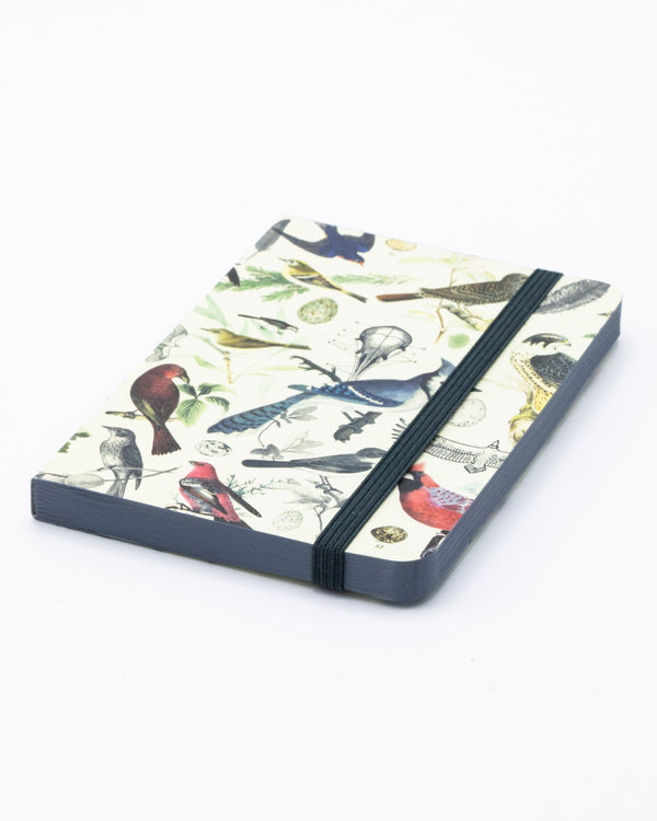 Birds & Feathers Observation Softcover