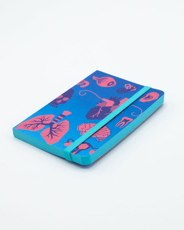 Retro Anatomy Observation Softcover