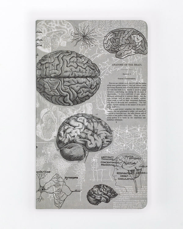 Brain Anatomy Yearly Planner