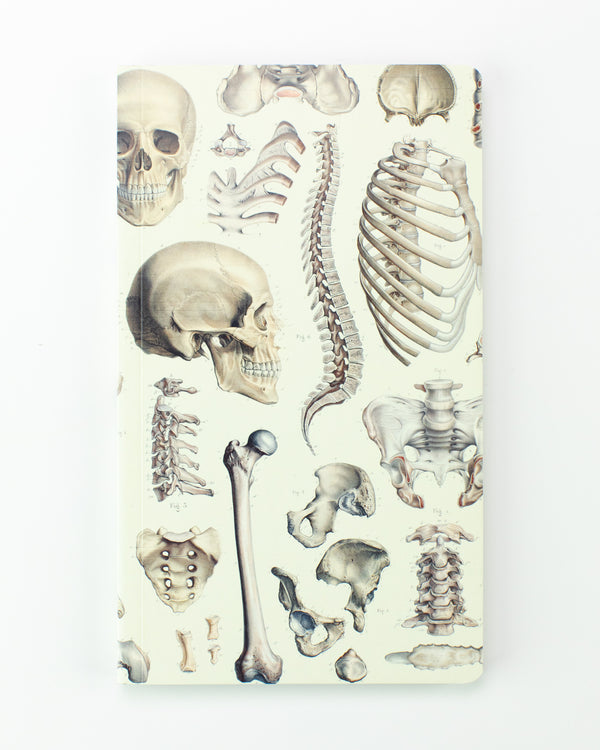 Skeleton Yearly Planner