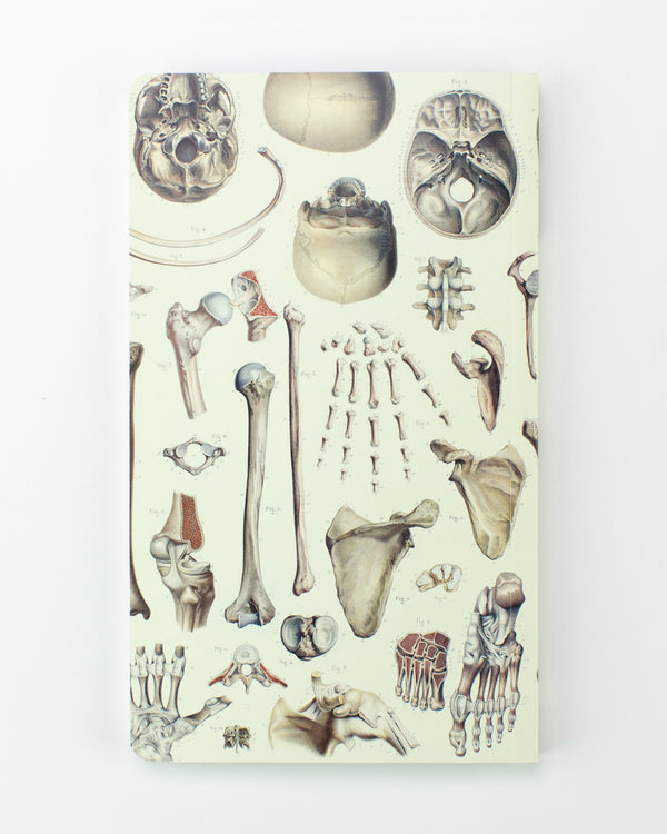 Skeleton Yearly Planner