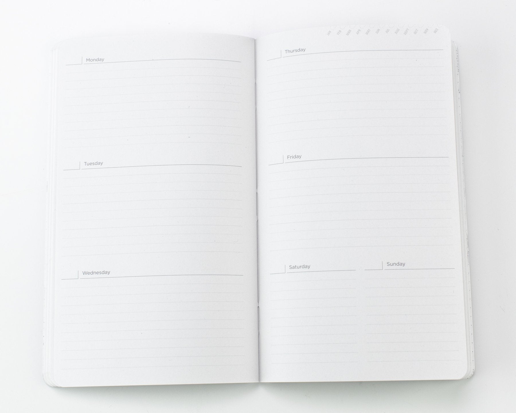 Neural Circuit Yearly Planner