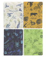 Carnivores Notebooks 4-pack