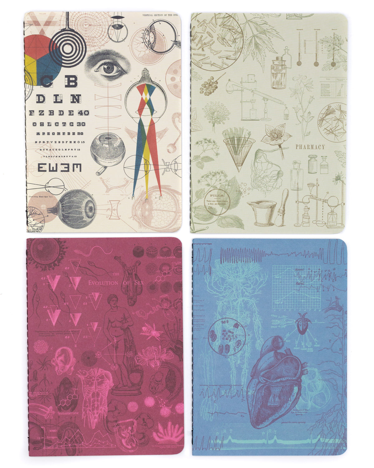 Medicine Notebooks 4-pack