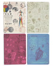 Medicine Notebooks 4-pack