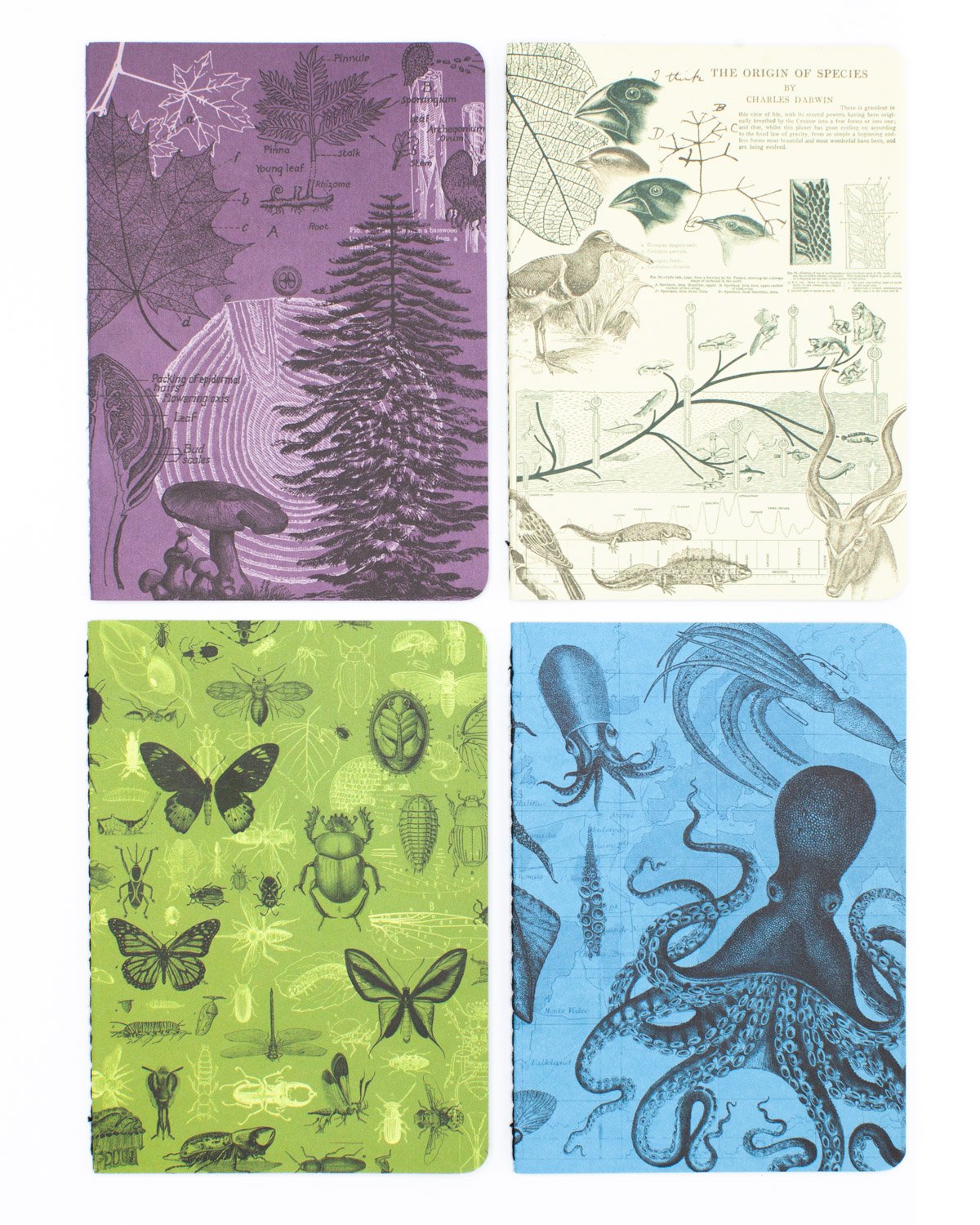 Covers of Natural Science mini softcovers