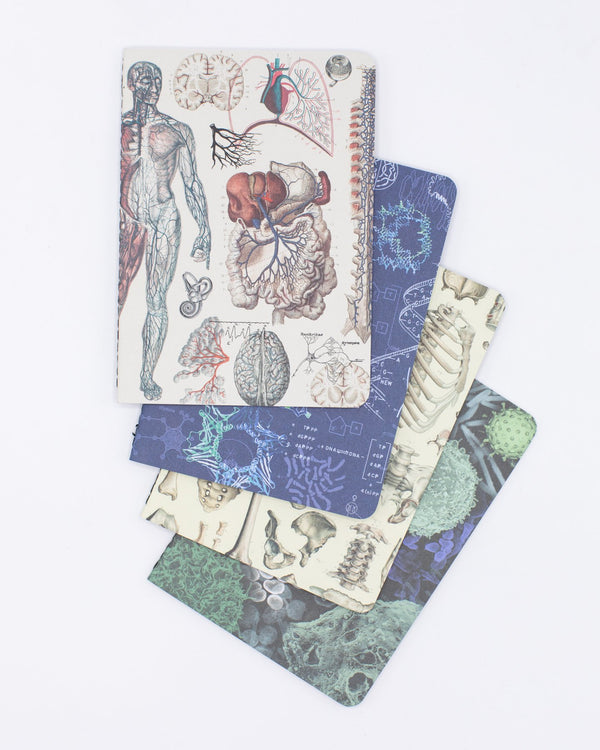 Human Physiology Pocket Notebook 4-pack