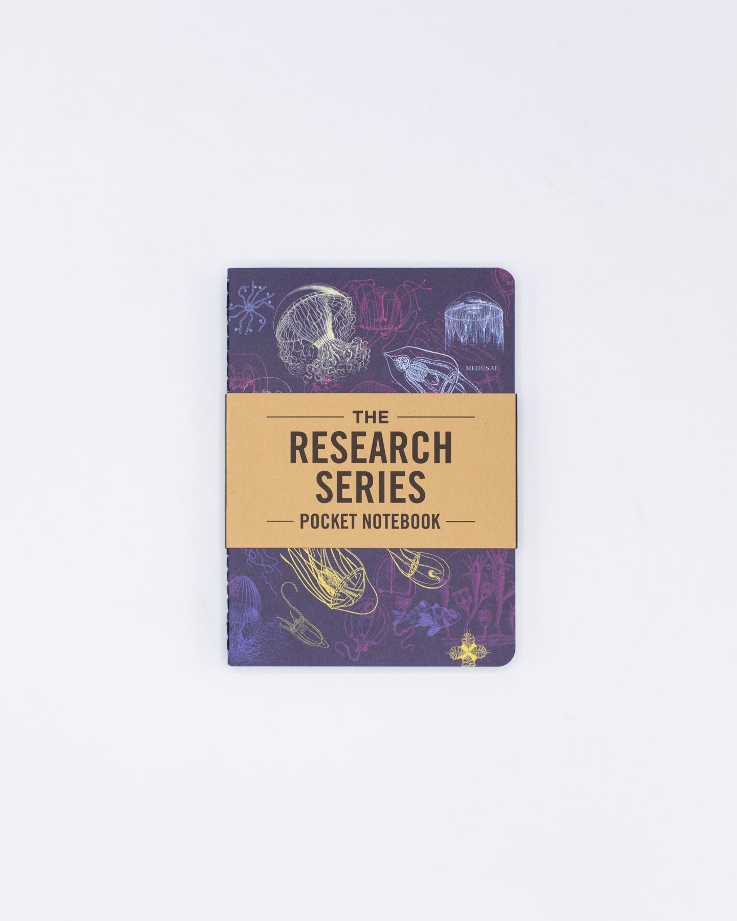 Marine Biology Notebooks 4-pack