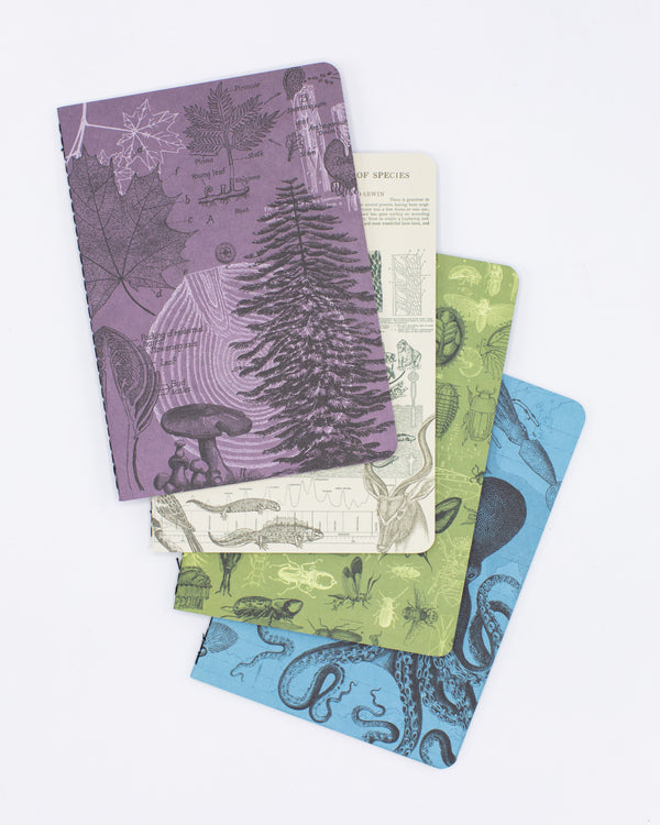 Natural Science Pocket Notebook 4-pack