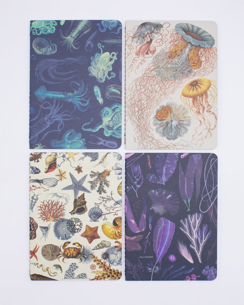 Ocean Pocket Notebook 4-pack