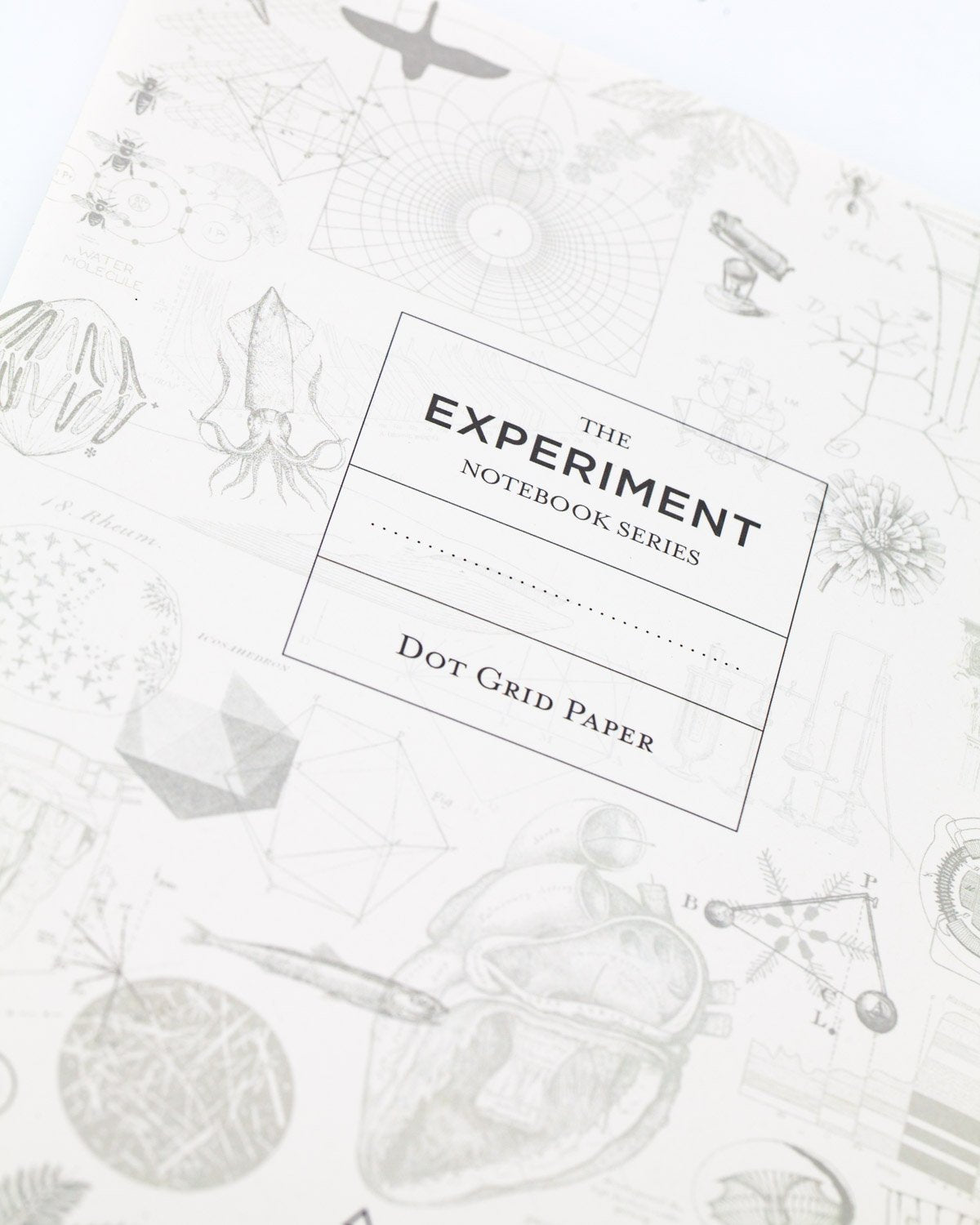 Medicinal Botany Softcover - Dot Grid