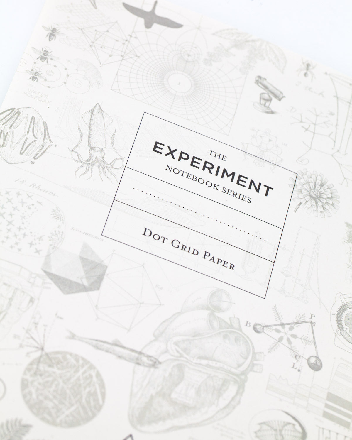 Moon Softcover Notebook - Dot Grid