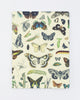 Butterflies Softcover - Dot Grid