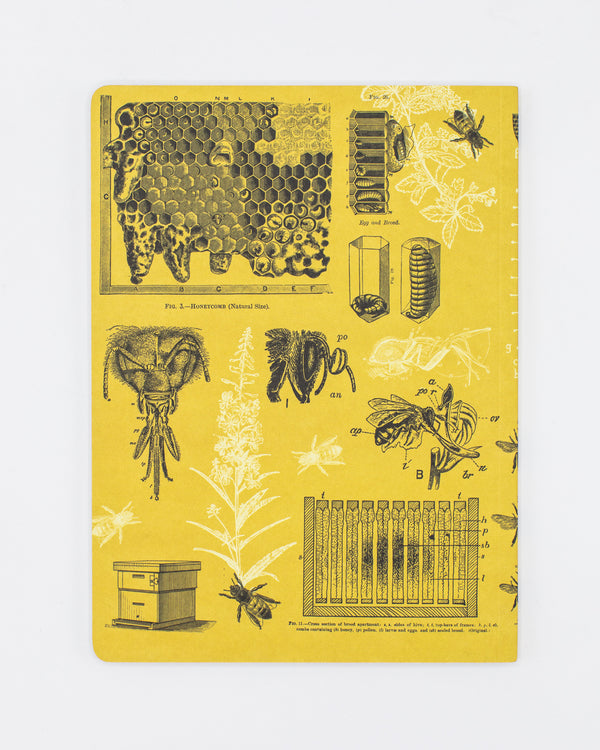 Bees Softcover Notebook - Lined