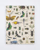 Insect Softcover - Dot Grid