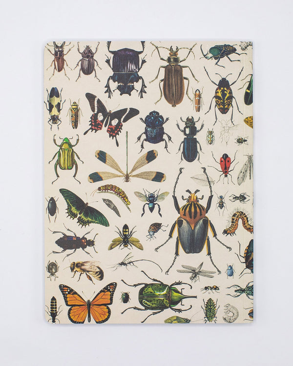 Insect Softcover - Dot Grid