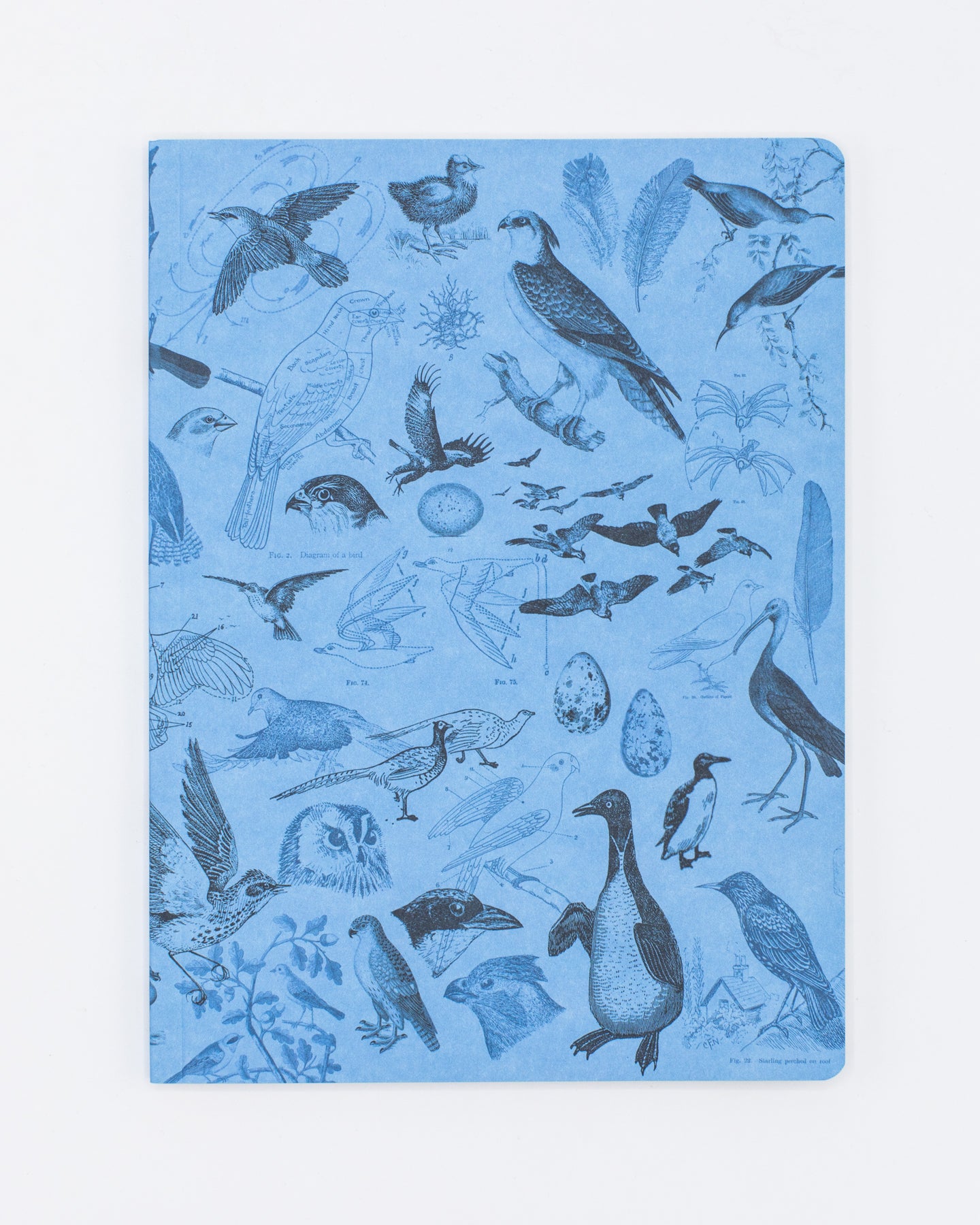 Birds Softcover Notebook - Lined