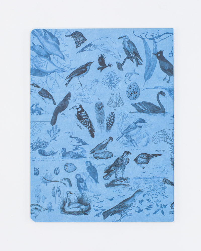 Birds Softcover Notebook - Lined