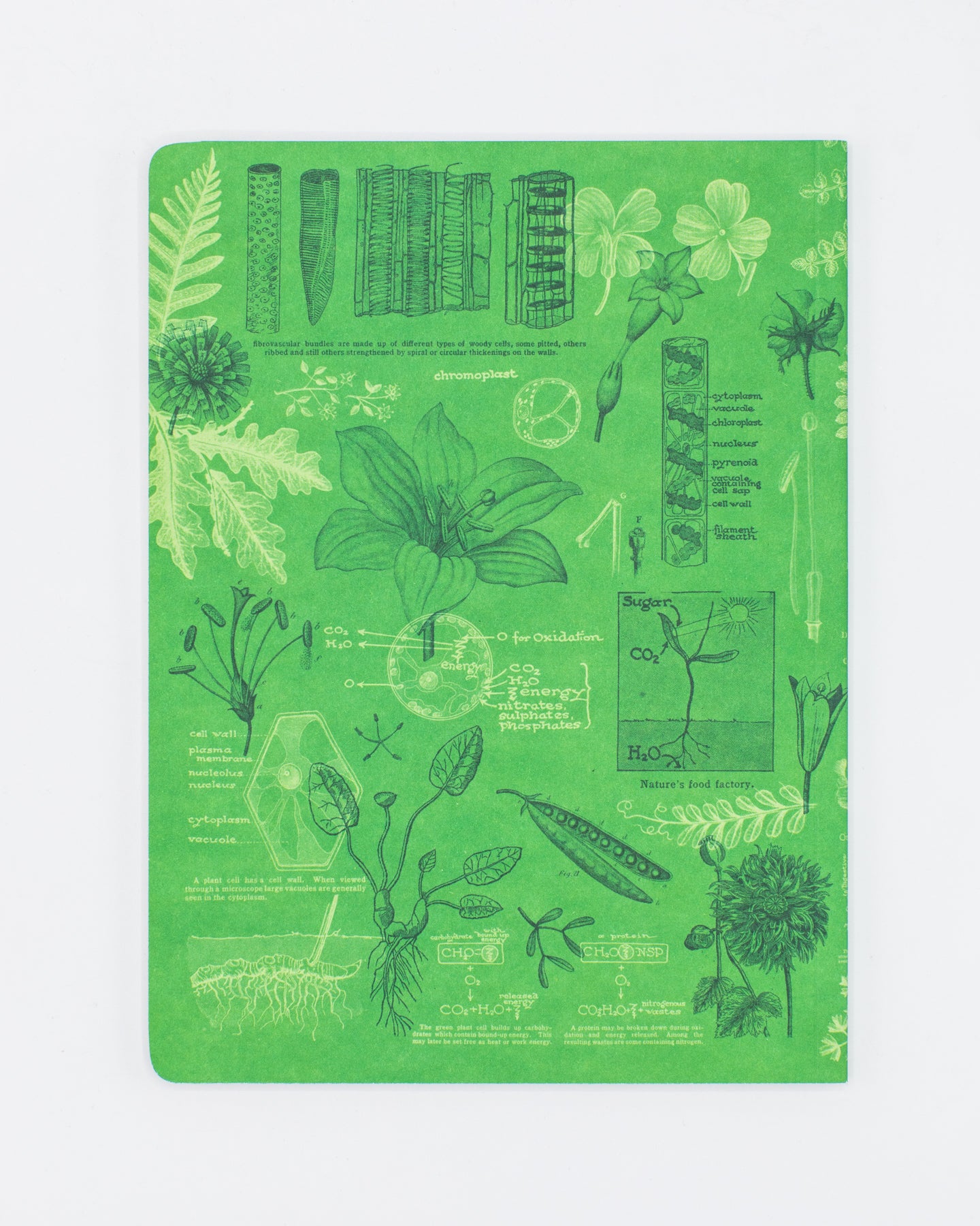 Botany Softcover Notebook - Dot Grid