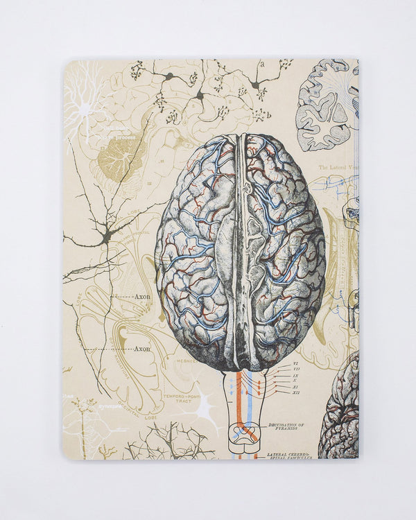Brain & Neuroscience Softcover - Lined