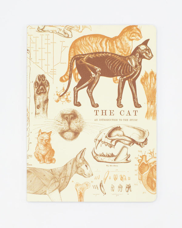 Veterinary Science: Cats Softcover Notebook - Lined