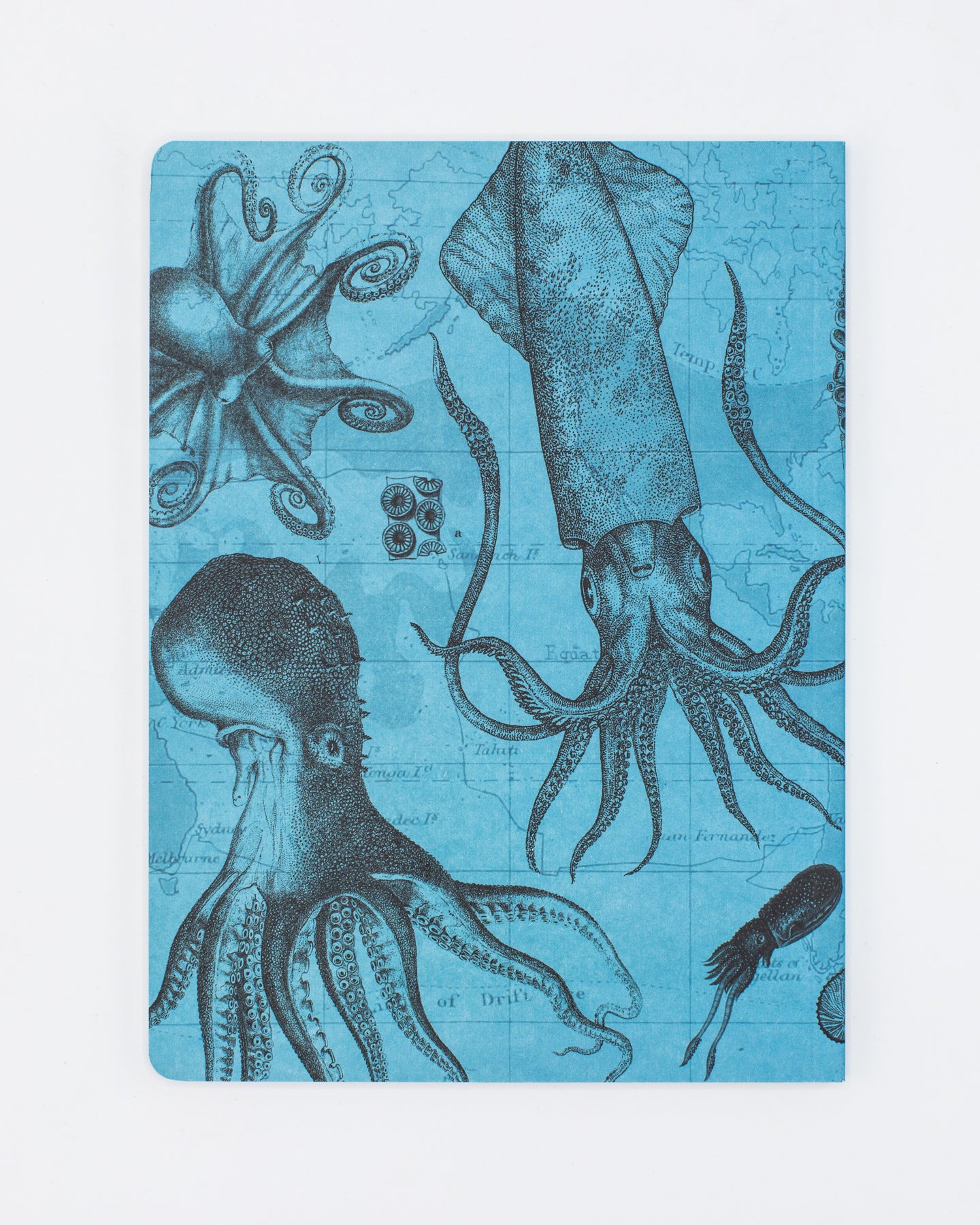 Cephalopods: Octopus & Squid Softcover Notebook - Lined