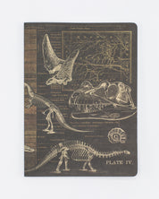 Dinosaur Softcover Notebook - Dot Grid