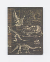 Dinosaur Softcover Notebook - Dot Grid