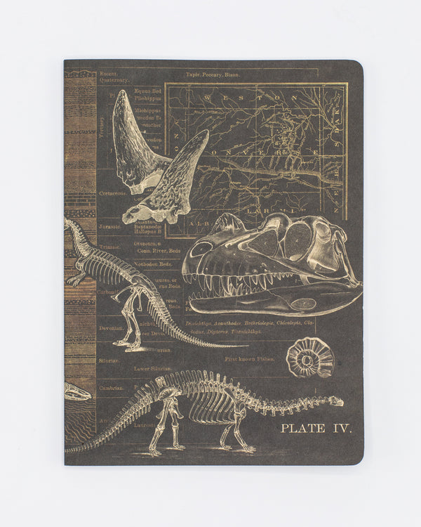 Dinosaur Softcover Notebook - Dot Grid