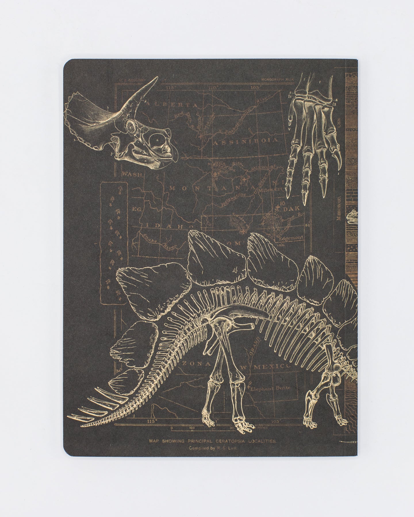 Dinosaur Softcover Notebook - Dot Grid