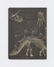 Dinosaur Softcover Notebook - Dot Grid